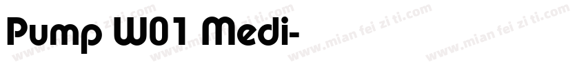 Pump W01 Medi字体转换